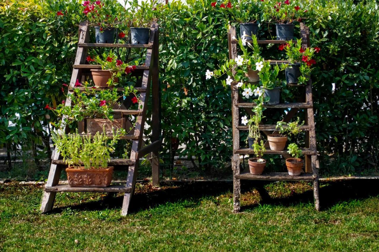Tenuta Di Ghizzano Resort Εξωτερικό φωτογραφία